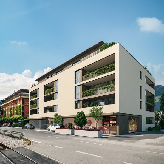 Bauträgerprojekt Zell am Ziller